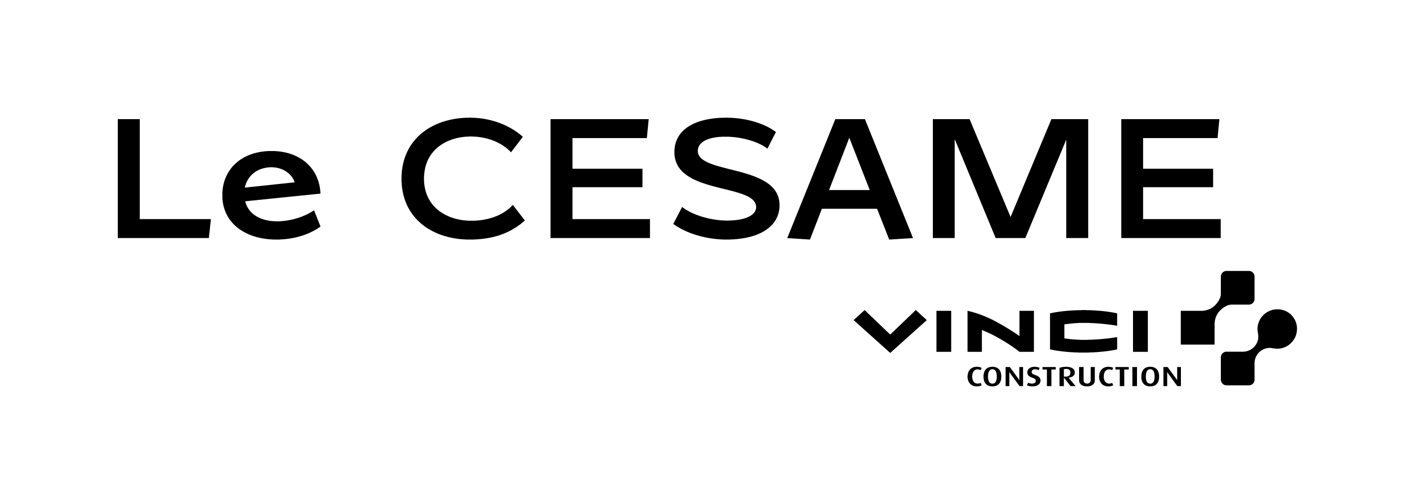 VINCI Construction France